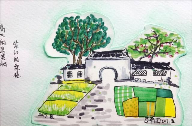 画卷简笔画图片大全 画卷简笔画简单又漂亮