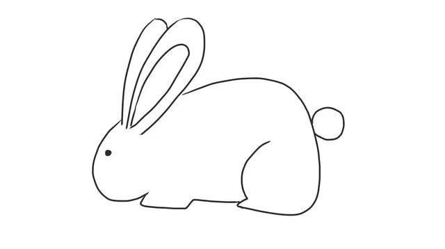 兔子怎么画简单又漂亮2023 兔子怎么画简单又漂亮图片