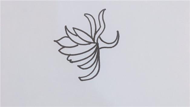 昙花的简笔画怎么画 昙花简笔画好看