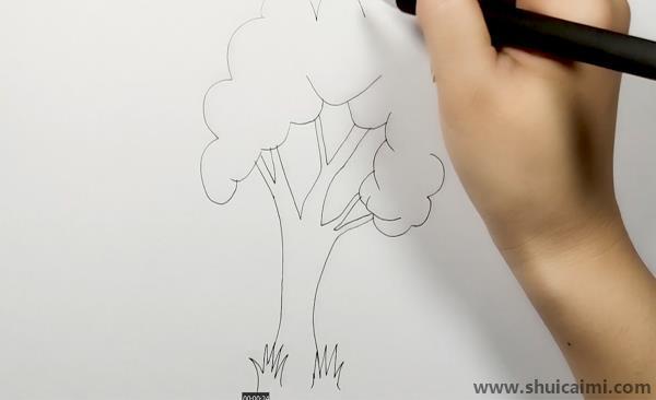 大树儿童画怎么画 彩色大树简笔画简单又好看