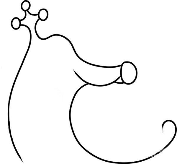 闪亮的海马简笔画怎么画 闪亮的海马简笔画图片