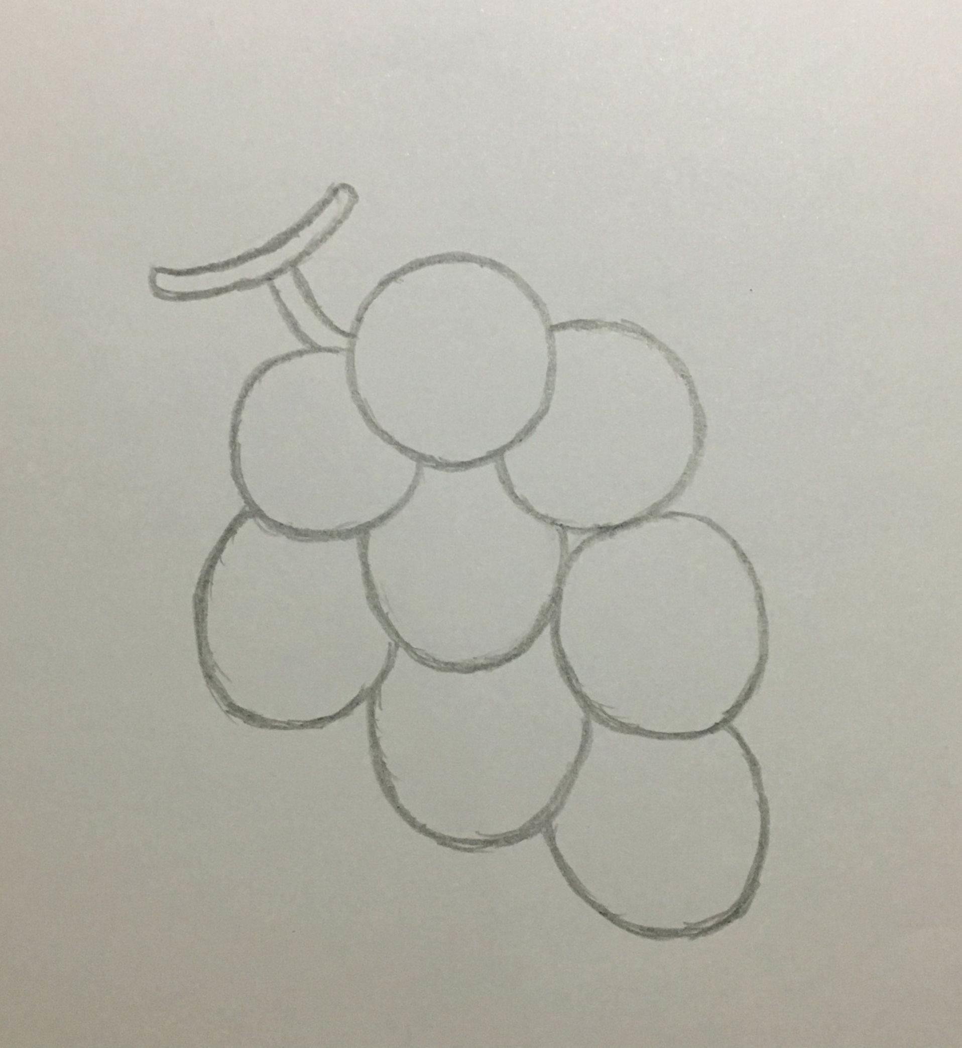 葡萄简笔画图片大全 葡萄简笔画图片大全带颜色