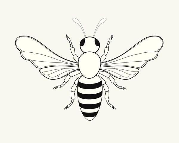 大黄蜂简笔画 大黄蜂简笔画儿童