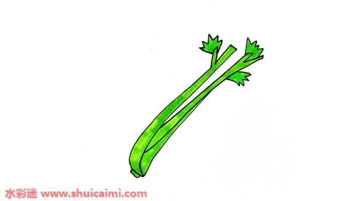 芹菜怎么画 芹菜简笔画简单彩色