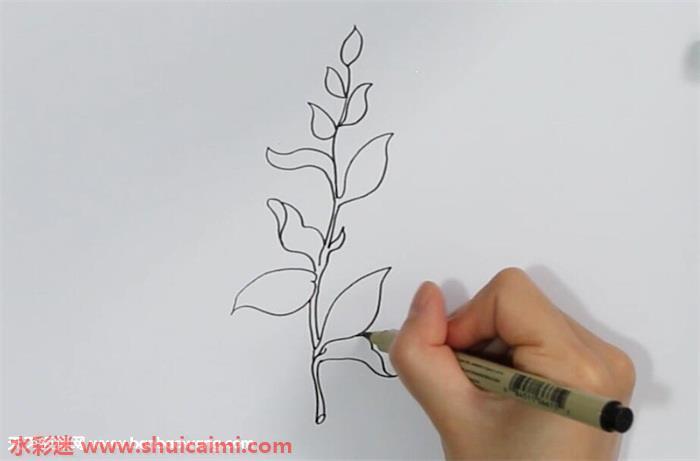 茶树怎么画 茶树简笔画简单好看带颜色
