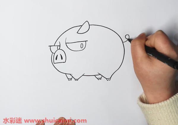 猪怎么画 猪简笔画漂亮卡通