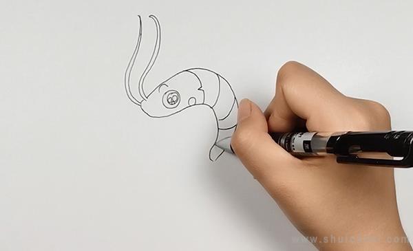 虾简笔画怎么画 虾简笔画画法