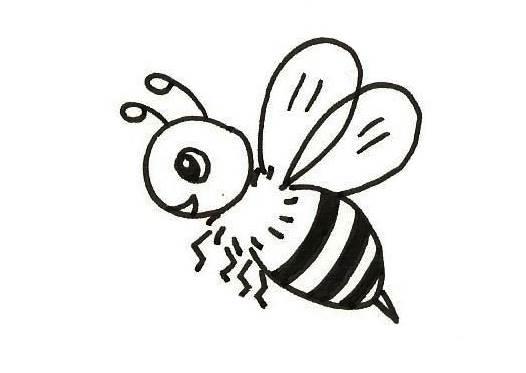 简笔画蜜蜂 简笔画蜜蜂采蜜
