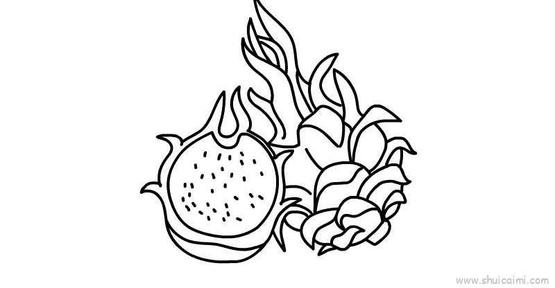 火龙果儿童画怎么画 火龙果简笔画步骤