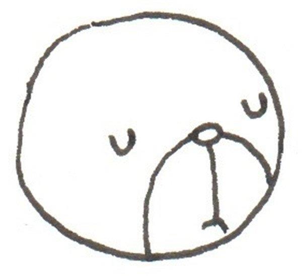 花猫的简笔画怎么画 花猫的简笔画好看
