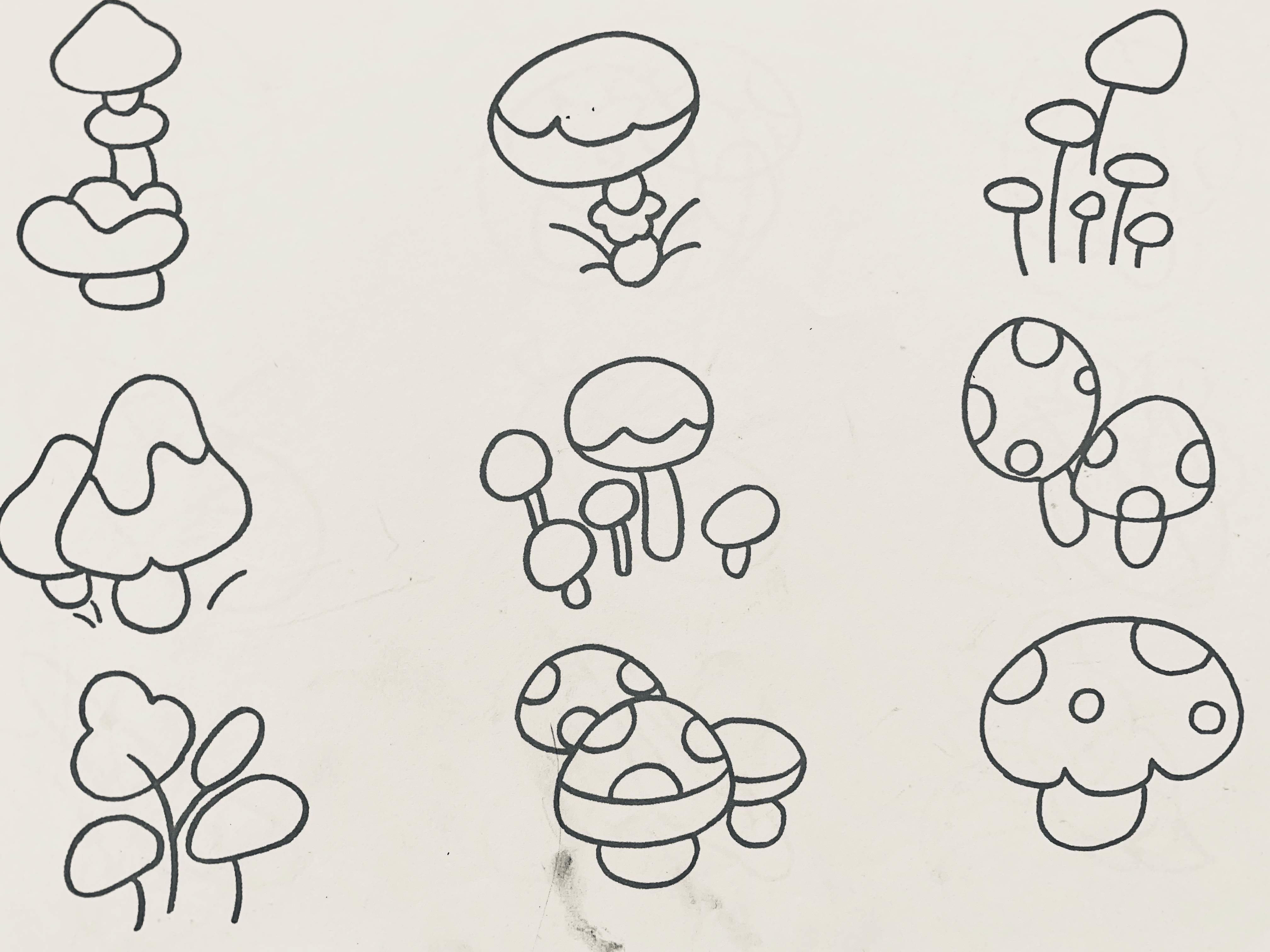 简笔画植物 简笔画植物图片大全