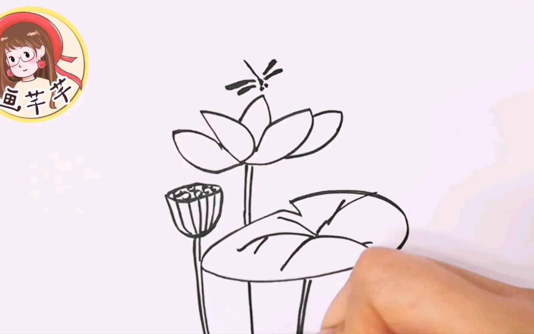 小荷才露尖尖角简笔画 小荷才露尖尖角简笔画彩色
