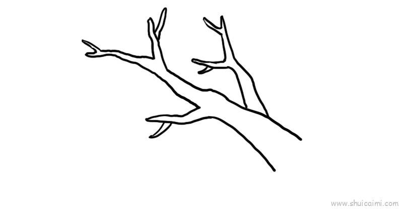 树枝儿童画怎么画 树枝简笔画顺序