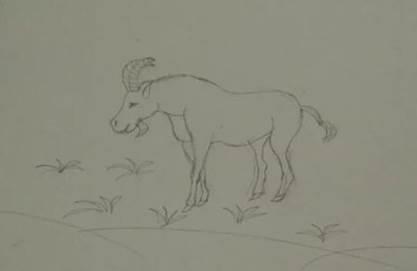 简笔画羊 简笔画羊的画法最简单