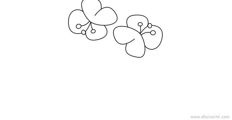蝴蝶兰儿童画怎么画 蝴蝶兰简笔画好看