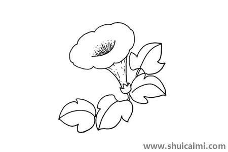 喇叭花彩色儿童简笔画