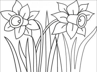 喇叭花简笔画 喇叭花简笔画图片大全