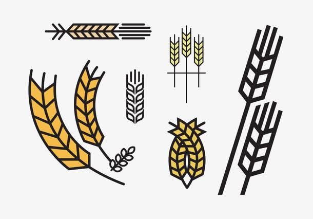 粮食简笔画 粮食简笔画图片