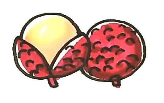 荔枝简笔画 荔枝简笔画简单又漂亮