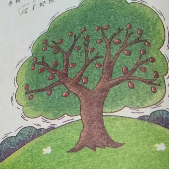 枣树简笔画图片大全 枣树简笔画图片大全儿童画