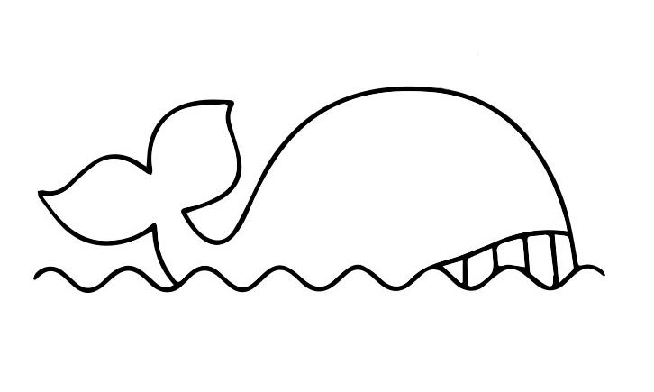 鲸鱼简笔画怎么画 鲸鱼简笔画图片大全