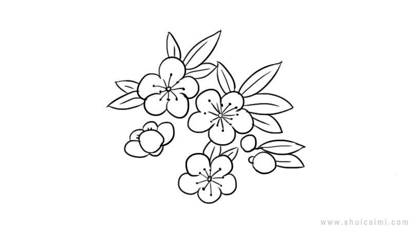 桃花简笔画怎么画 桃花简笔画简单又好看