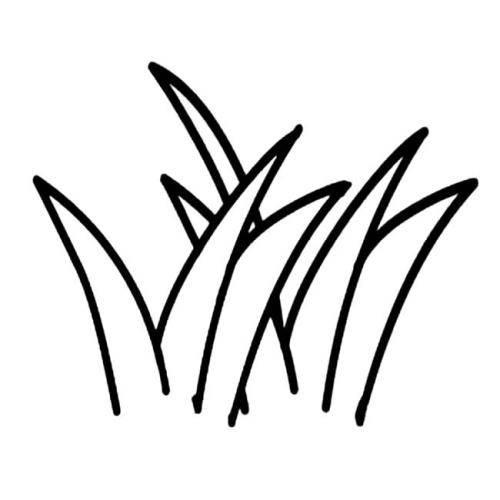 春天的小草简笔画 春天的小草简笔画彩色