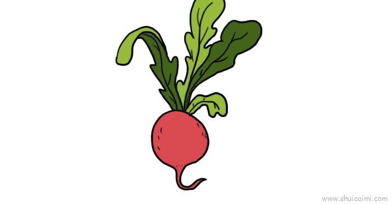 红萝卜儿童画怎么画 红萝卜简笔画图片