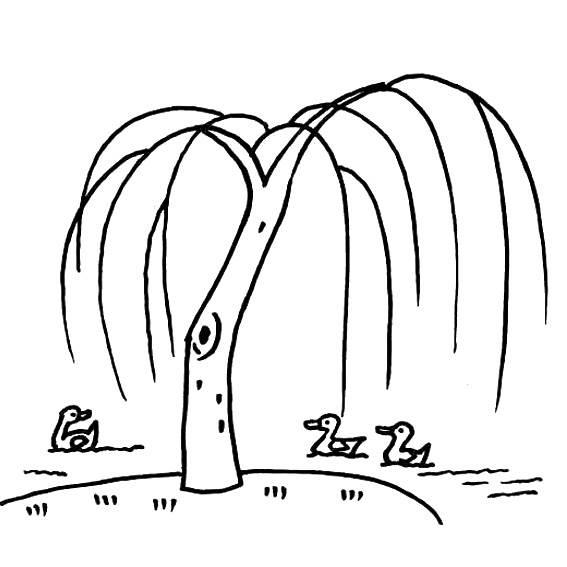 柳树简笔画 柳树简笔画图片带颜色