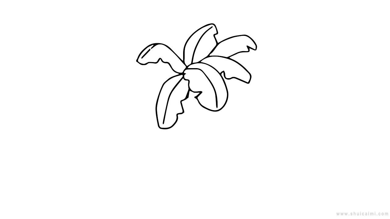 香蕉树简笔画怎么画 香蕉树简笔画顺序