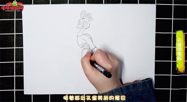 孔雀怎么画 孔雀简笔画简单易画彩色
