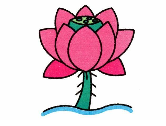 莲花简笔画 莲花简笔画图片大全大图