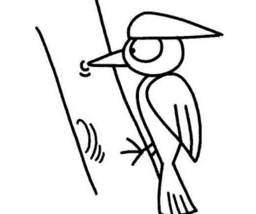 啄木鸟简笔画 啄木鸟简笔画图片