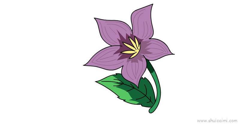 紫茉莉儿童画怎么画 紫茉莉简笔画简单