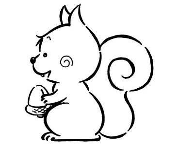 松鼠头简笔画图片大全 松鼠头简笔画图片大全彩色