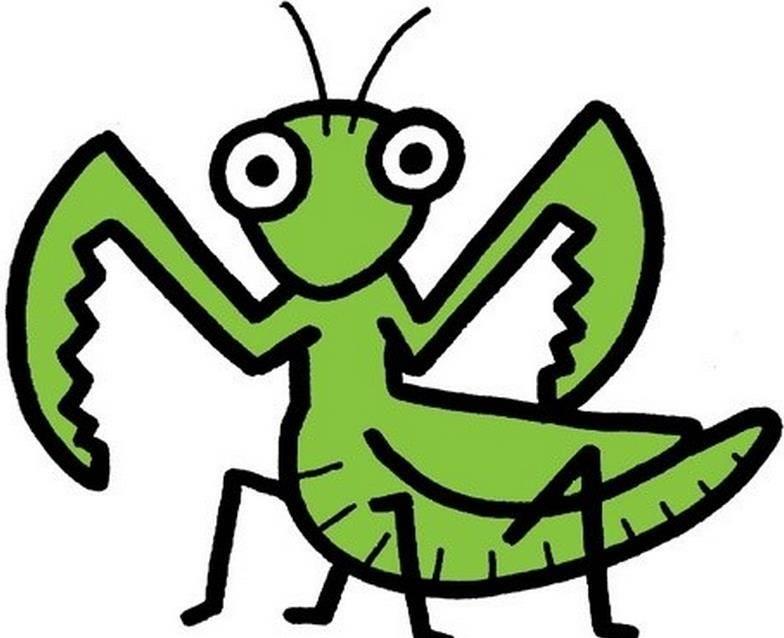 螳螂简笔画 螳螂简笔画简单