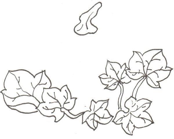 南瓜的简笔画怎么画 南瓜的简笔画顺序