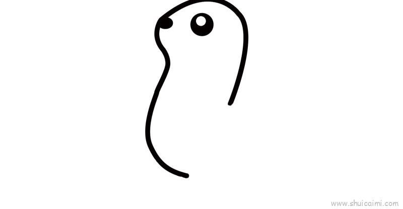海豹儿童画怎么画 海豹简笔画好看