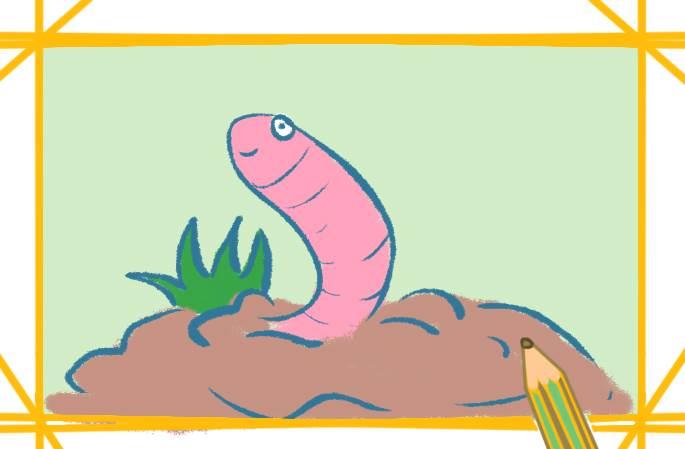 蚯蚓简笔画 蚯蚓简笔画彩色