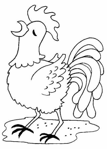 公鸡的简笔画图片大全 公鸡的简笔画图片大全可爱简单又漂亮