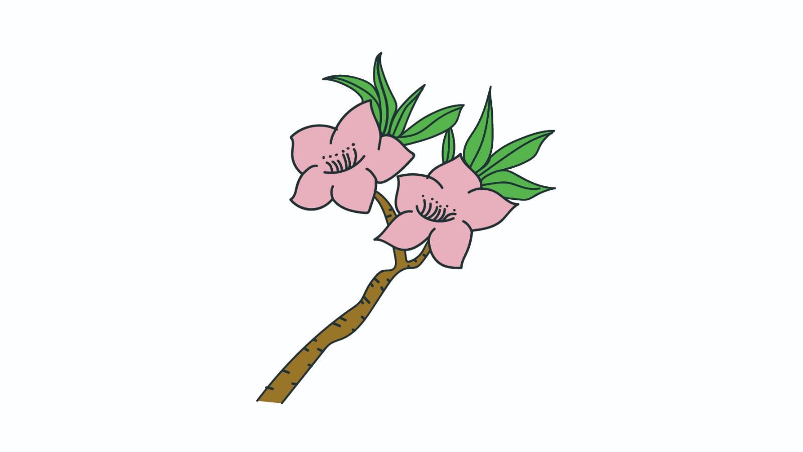 桃花简笔画怎么画 桃花简笔画步骤