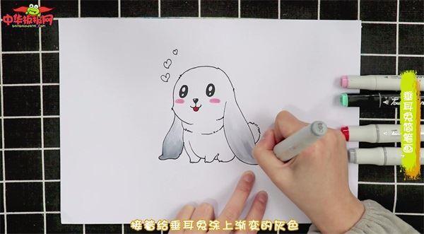 垂耳兔怎么画 垂耳兔简笔画图片大全带颜色