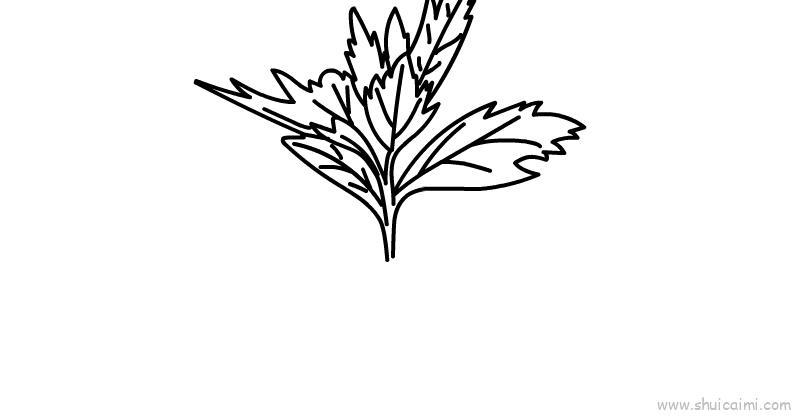 端午节艾草儿童画怎么画 端午节艾草简笔画图片大全