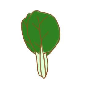 青菜简笔画 青菜简笔画图片