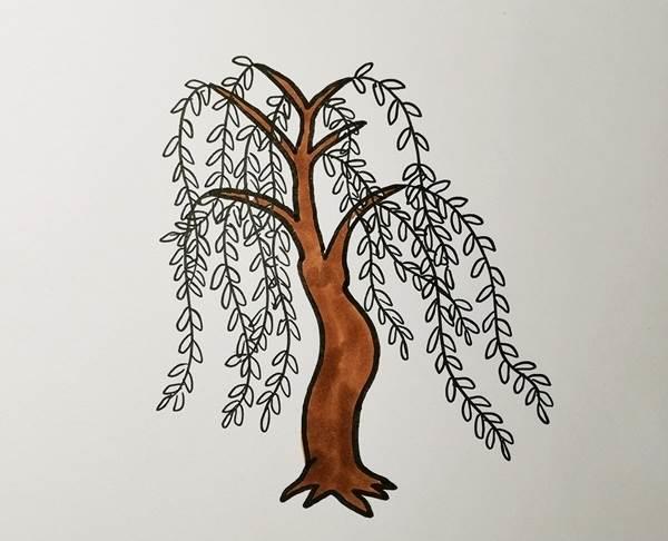 柳树简笔画 柳树简笔画图片带颜色