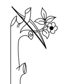 花边简笔画图片大全 花边简笔画图片大全大图涂色