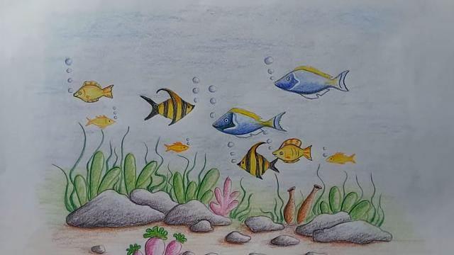 海底简笔画图片大全 海底世界简笔画图片大全
