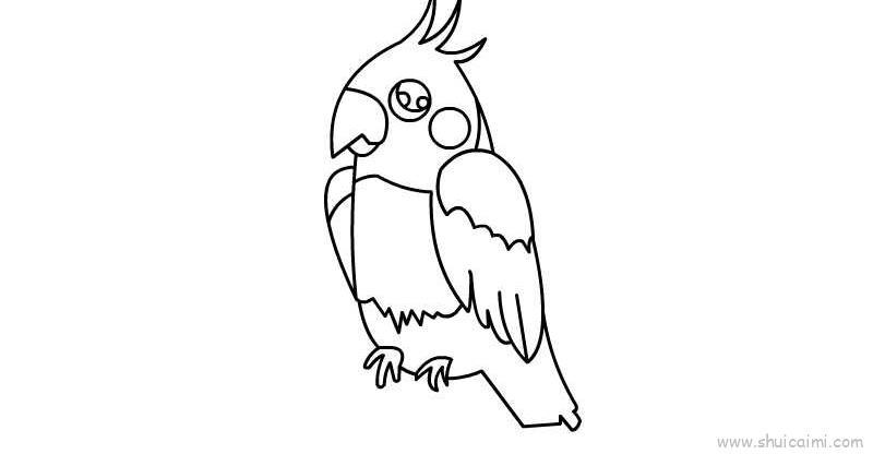 鹦鹉儿童画怎么画 鹦鹉简笔画图片大全