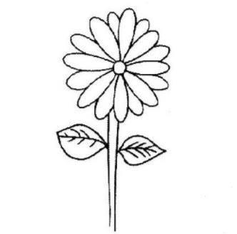 画菊花简笔画图片大全 画菊花简笔画图片大全一年级