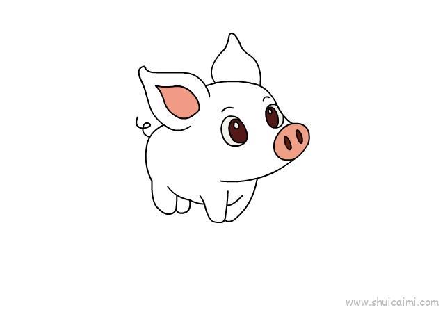 小猪儿童画怎么画 小猪简笔画好看
